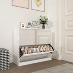 2 Tier Shoe Storage Cabinet with Draders for Entryway,Bedroom, Flip Door Design Shoe Cabinet