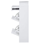 Tempered Glass Top Shoe Storage Cabinet with Drawer