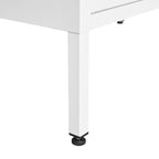 2 Door Miscellaneous Storage Cabinet with 2 Movable Partitions, for Garage / Office